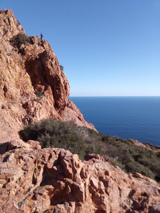 Frejus Plage, Appartement Entier , Piscine,Parking,Plage A 200M Экстерьер фото