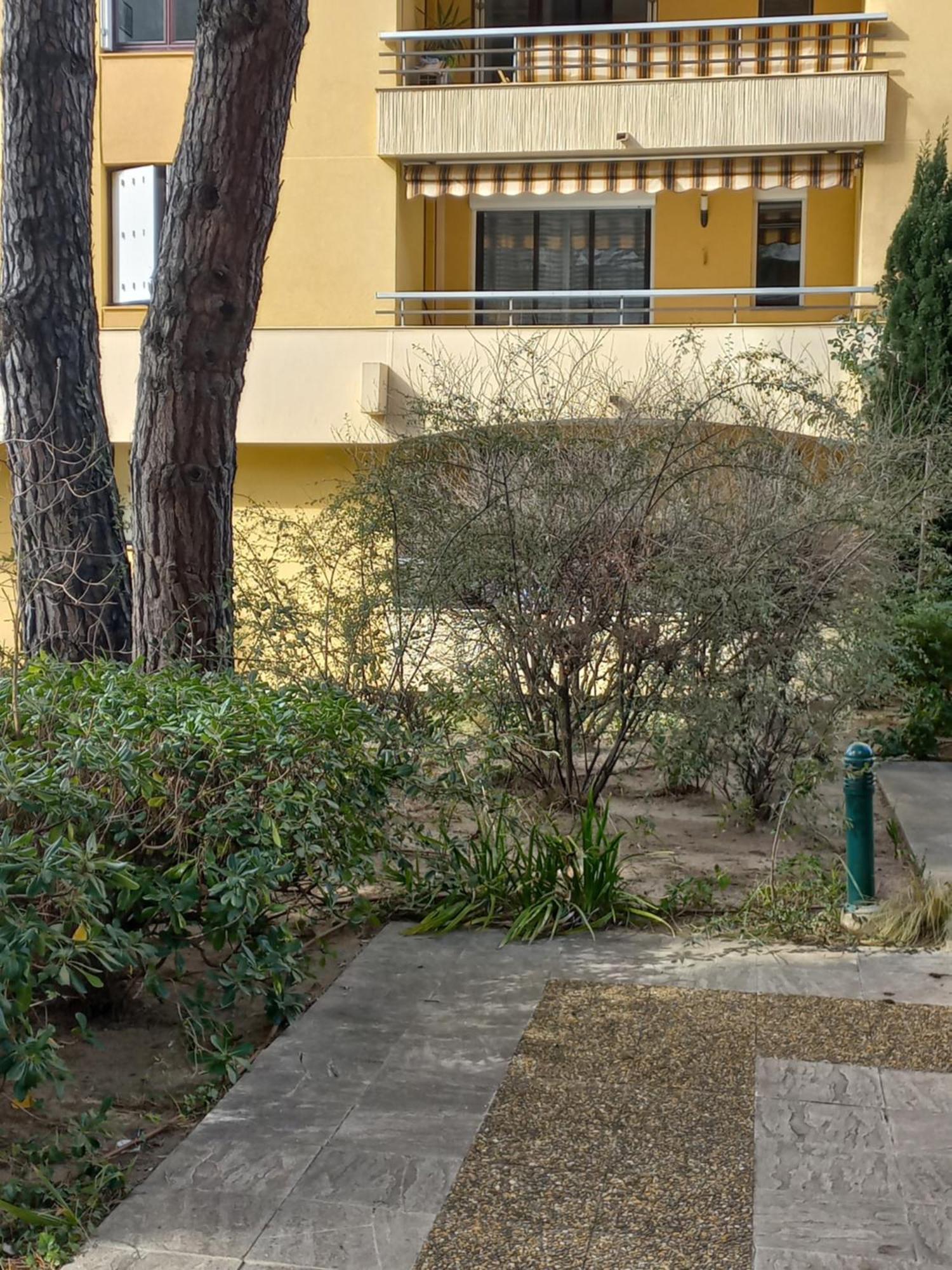 Frejus Plage, Appartement Entier , Piscine,Parking,Plage A 200M Экстерьер фото